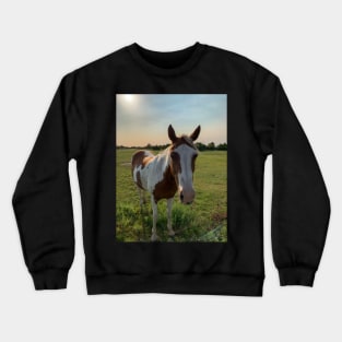 Horse Crewneck Sweatshirt